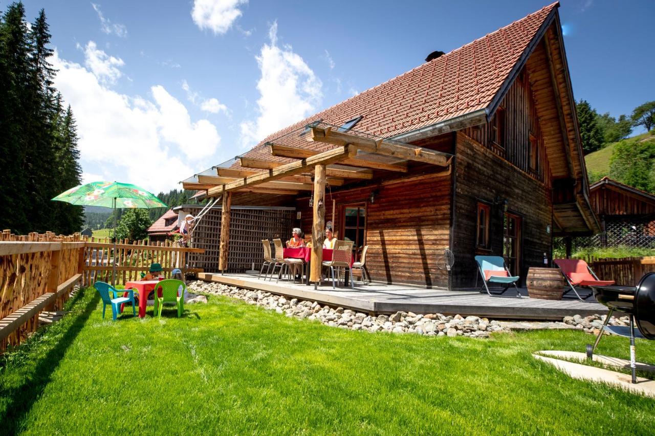 Naturpark Huette Mandl, Biobauernhof & Huettenurlaub Sankt Lambrecht Exterior photo