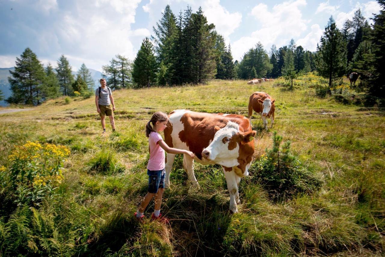 Naturpark Huette Mandl, Biobauernhof & Huettenurlaub Sankt Lambrecht Exterior photo